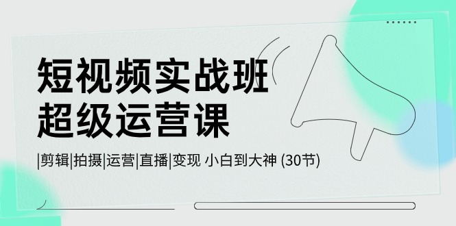 短视频实战班超级运营课 |剪辑|拍摄|运营|直播|变现 小白到大神 (30节)网赚项目-副业赚钱-互联网创业-资源整合八方网创