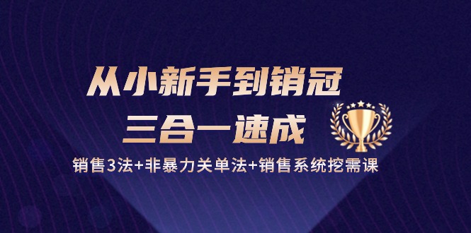 从小新手到销冠三合一速成：销售3法+非暴力关单法+销售系统挖需课 (27节)网赚项目-副业赚钱-互联网创业-资源整合八方网创