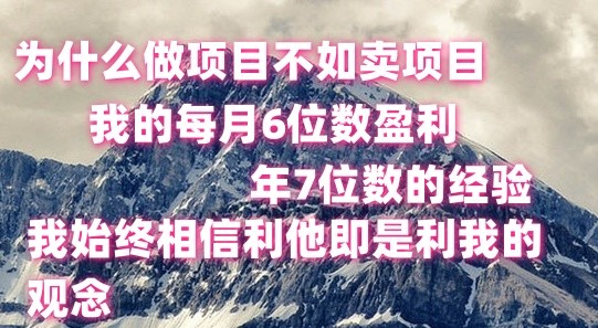 做项目不如卖项目，每月6位数盈利，年7位数经验网赚项目-副业赚钱-互联网创业-资源整合八方网创