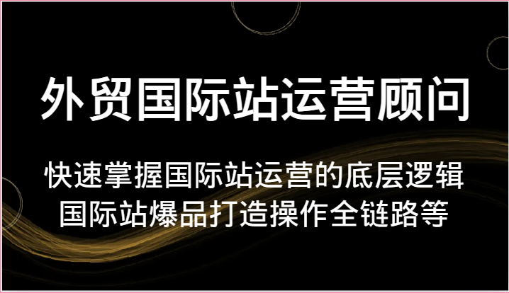 外贸国际站运营顾问-快速掌握国际站运营的底层逻辑，国际站爆品打造操作全链路等网赚项目-副业赚钱-互联网创业-资源整合八方网创