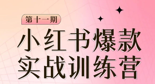 小红书博主爆款训练营第11期，手把手教你从0-1做小红书，从定位到起号到变现网赚项目-副业赚钱-互联网创业-资源整合八方网创