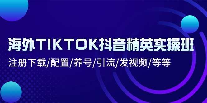 海外TIKTOK抖音精英实操班：注册下载/配置/养号/引流/发视频/等等网赚项目-副业赚钱-互联网创业-资源整合八方网创