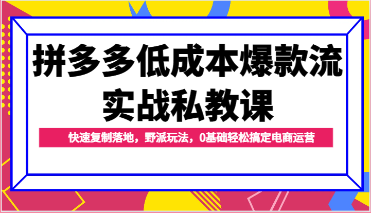 拼多多低成本爆款流实战私教课，快速复制落地，野派玩法，0基础轻松搞定电商运营网赚项目-副业赚钱-互联网创业-资源整合八方网创