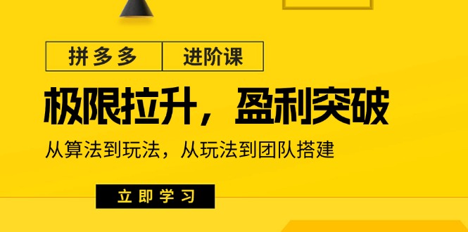 拼多多进阶课：极限拉升/盈利突破：从算法到玩法 从玩法到团队搭建（18节）网赚项目-副业赚钱-互联网创业-资源整合八方网创