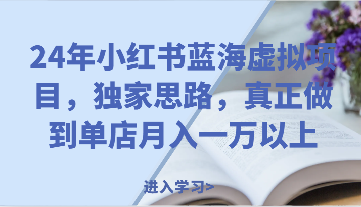 24年小红书蓝海虚拟项目，独家思路，真正做到单店月入一万以上。网赚项目-副业赚钱-互联网创业-资源整合八方网创