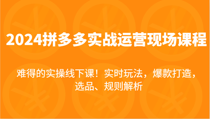2024拼多多实战运营现场课，实时玩法，爆款打造，选品、规则解析，难得的实操线下课！网赚项目-副业赚钱-互联网创业-资源整合八方网创