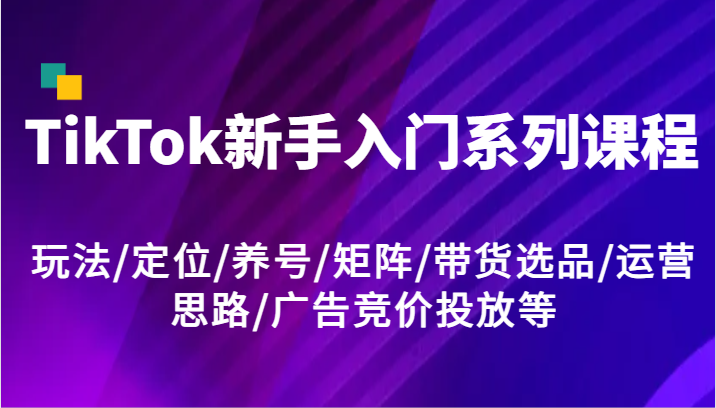 TikTok新手入门系列课程，玩法/定位/养号/矩阵/带货选品/运营思路/广告竞价投放等网赚项目-副业赚钱-互联网创业-资源整合八方网创