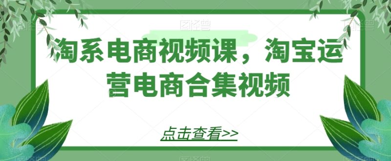 淘系电商视频课，淘宝运营电商合集视频网赚项目-副业赚钱-互联网创业-资源整合八方网创