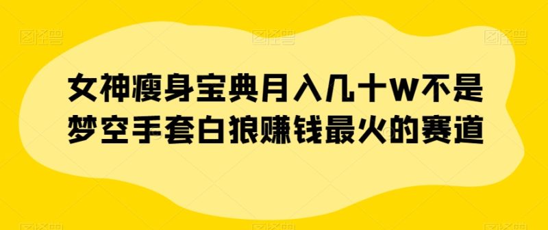 女神瘦身宝典月入几十W不是梦空手套白狼赚钱最火的赛道【揭秘】网赚项目-副业赚钱-互联网创业-资源整合八方网创