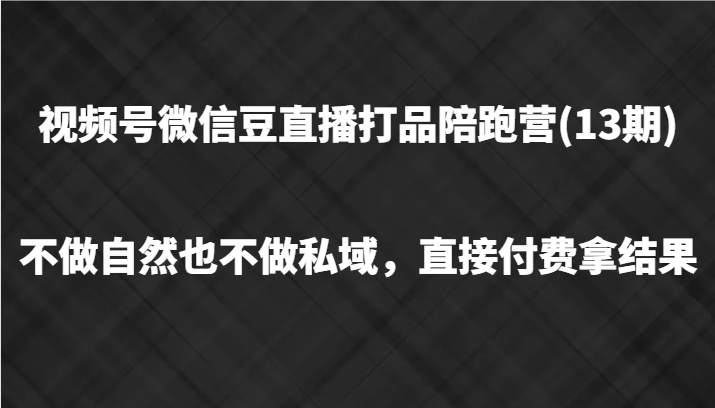 视频号微信豆直播打品陪跑(13期)，不做不自然流不做私域，直接付费拿结果网赚项目-副业赚钱-互联网创业-资源整合八方网创