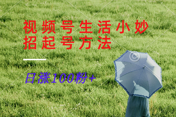 视频号生活小妙招分享赛道， 起号涨粉新方法，日涨100粉网赚项目-副业赚钱-互联网创业-资源整合八方网创