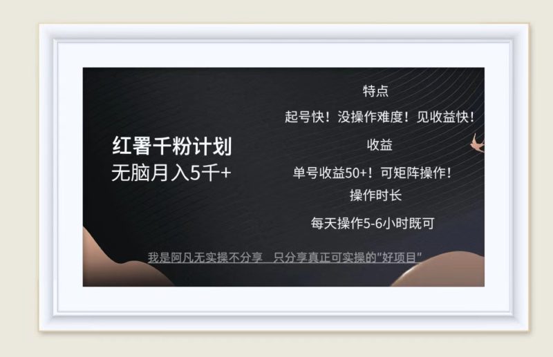 红薯千粉计划无脑月入5千+!既做既赚!网赚项目-副业赚钱-互联网创业-资源整合八方网创