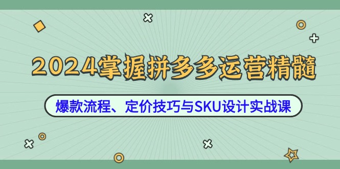 2024掌握拼多多运营精髓：爆款流程、定价技巧与SKU设计实战课网赚项目-副业赚钱-互联网创业-资源整合八方网创