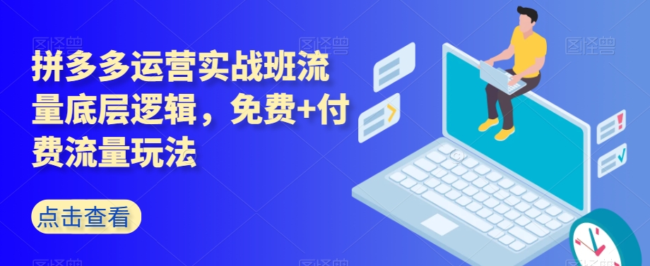拼多多运营实战班流量底层逻辑，免费+付费流量玩法网赚项目-副业赚钱-互联网创业-资源整合八方网创