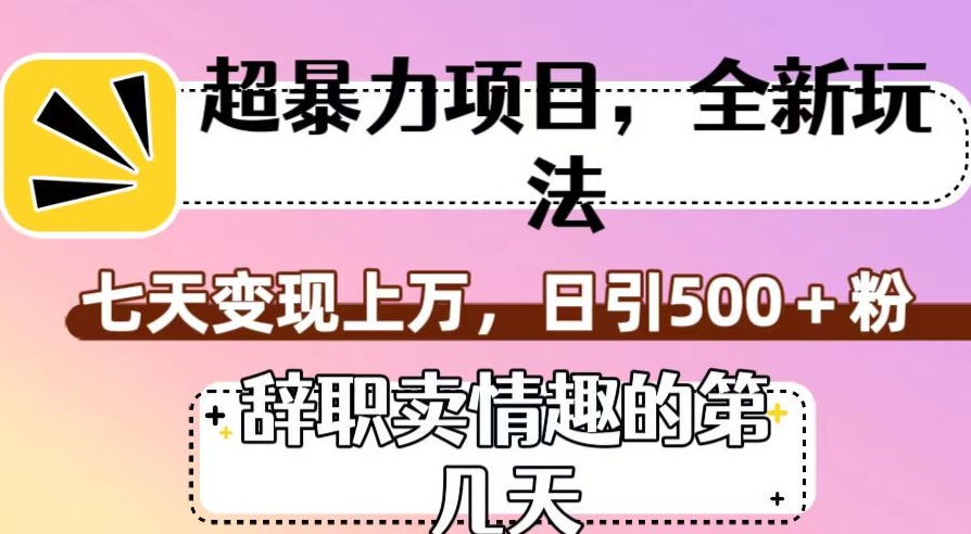 超暴利项目，全新玩法（辞职卖情趣的第几天），七天变现上万，日引500+粉【揭秘】网赚项目-副业赚钱-互联网创业-资源整合八方网创