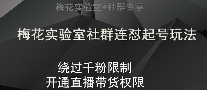 梅花实验室社群连怼起号玩法，视频号绕过千粉限制，开通直播带货权限【揭秘】网赚项目-副业赚钱-互联网创业-资源整合八方网创