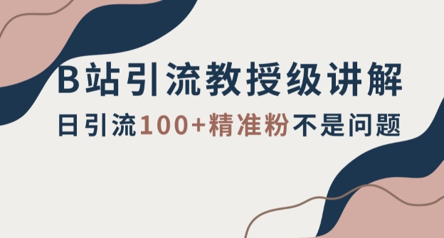 B站引流教授级讲解，细节满满，日引流100+精准粉不是问题【揭秘】网赚项目-副业赚钱-互联网创业-资源整合八方网创