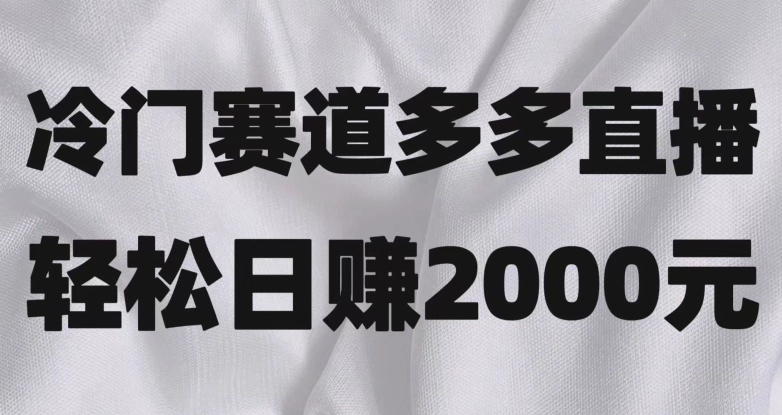 冷门赛道拼多多直播，简单念稿子，日收益2000＋【揭秘】网赚项目-副业赚钱-互联网创业-资源整合八方网创