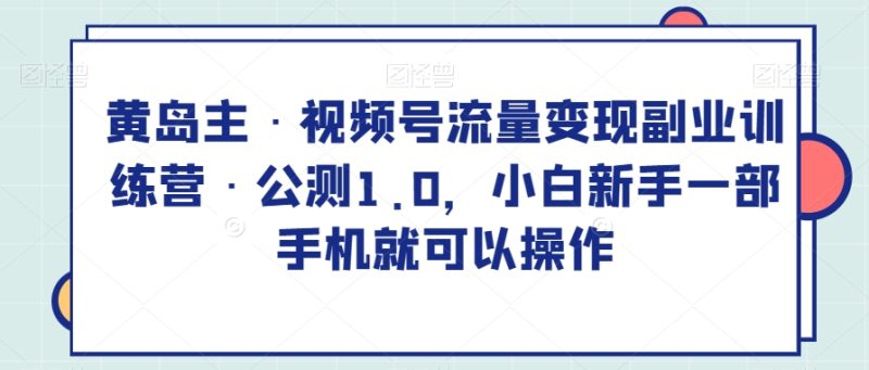 黄岛主·视频号流量变现副业训练营·公测1.0,小白新手一部手机就可以操作网赚项目-副业赚钱-互联网创业-资源整合八方网创
