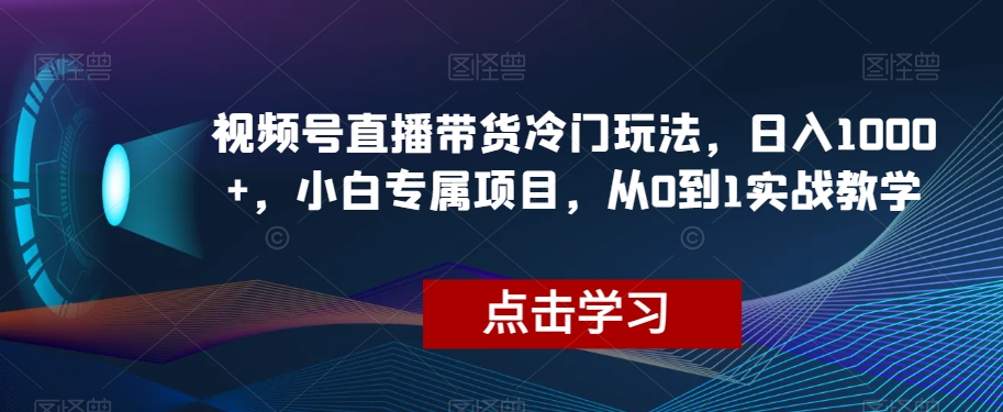 视频号直播带货冷门玩法，日入1000+，小白专属项目，从0到1实战教学【揭秘】网赚项目-副业赚钱-互联网创业-资源整合八方网创