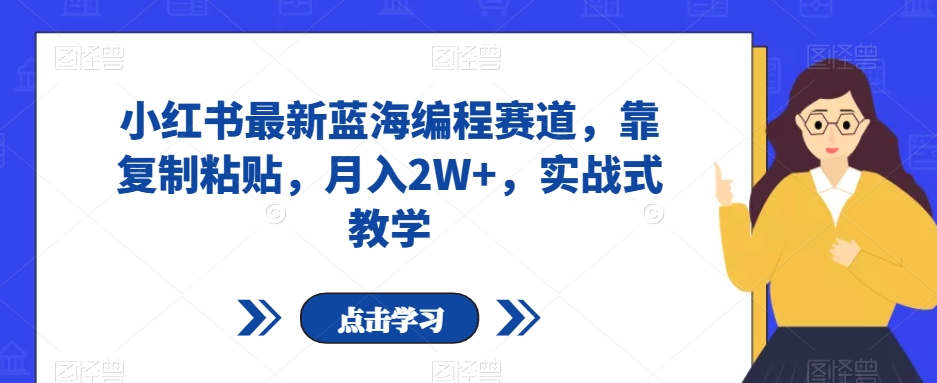 小红书最新蓝海编程赛道，靠复制粘贴，月入2W+，实战式教学【揭秘】网赚项目-副业赚钱-互联网创业-资源整合八方网创