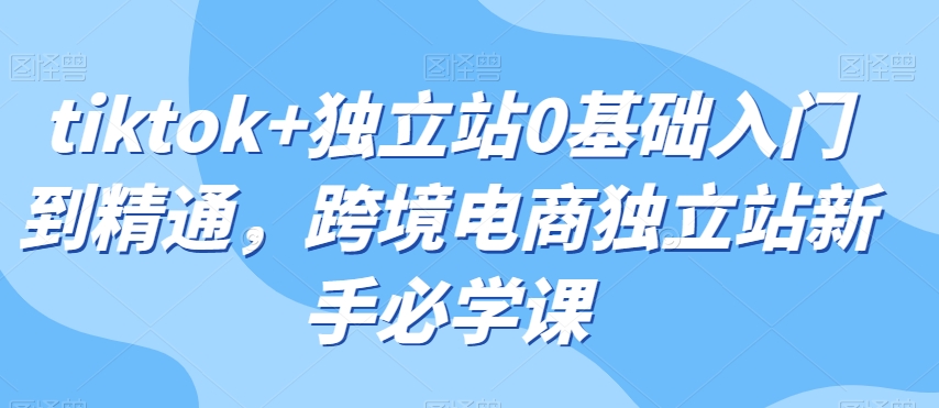 tiktok+独立站0基础入门到精通，跨境电商独立站新手必学课网赚项目-副业赚钱-互联网创业-资源整合八方网创