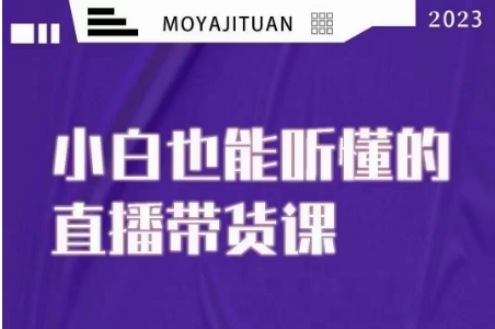 大威本威·能听懂的直播带货课，小白也能听懂，20节完整网赚项目-副业赚钱-互联网创业-资源整合八方网创