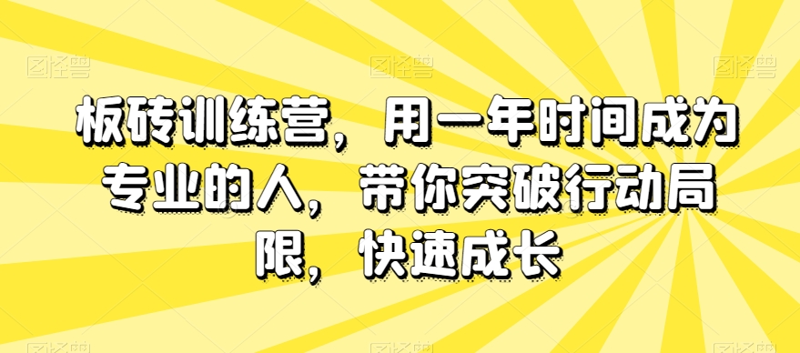 板砖训练营，用一年时间成为专业的人，带你突破行动局限，快速成长网赚项目-副业赚钱-互联网创业-资源整合八方网创