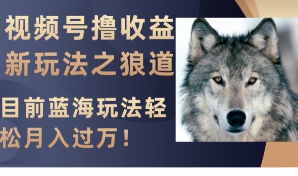 视频号撸收益新玩法之狼道，目前蓝海玩法，轻松月入过万【揭秘】网赚项目-副业赚钱-互联网创业-资源整合八方网创