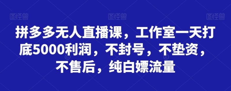 拼多多无人直播课，工作室一天打底5000利润，不封号，不垫资，不售后，纯白嫖流量网赚项目-副业赚钱-互联网创业-资源整合八方网创
