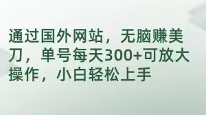 通过国外网站，无脑赚美刀，单号每天300+可放大操作，小白轻松上手【揭秘】网赚项目-副业赚钱-互联网创业-资源整合八方网创