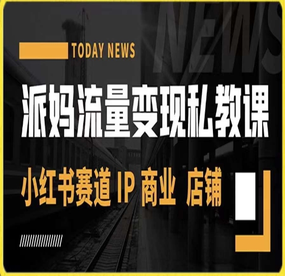 派妈流量变现私教课，小红书赛道IP  商业  店铺网赚项目-副业赚钱-互联网创业-资源整合八方网创