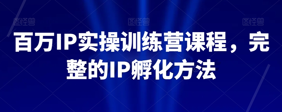 百万IP实操训练营课程，完整的IP孵化方法网赚项目-副业赚钱-互联网创业-资源整合八方网创