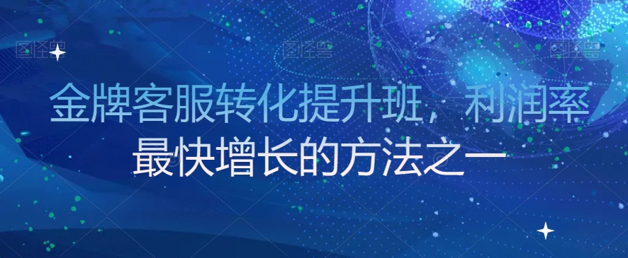 金牌客服转化提升班，利润率最快增长的方法之一网赚项目-副业赚钱-互联网创业-资源整合八方网创