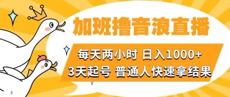 加班撸音浪直播，每天两小时，日入1000+，直播话术才3句，3天起号，普通人快速拿结果【揭秘】网赚项目-副业赚钱-互联网创业-资源整合八方网创