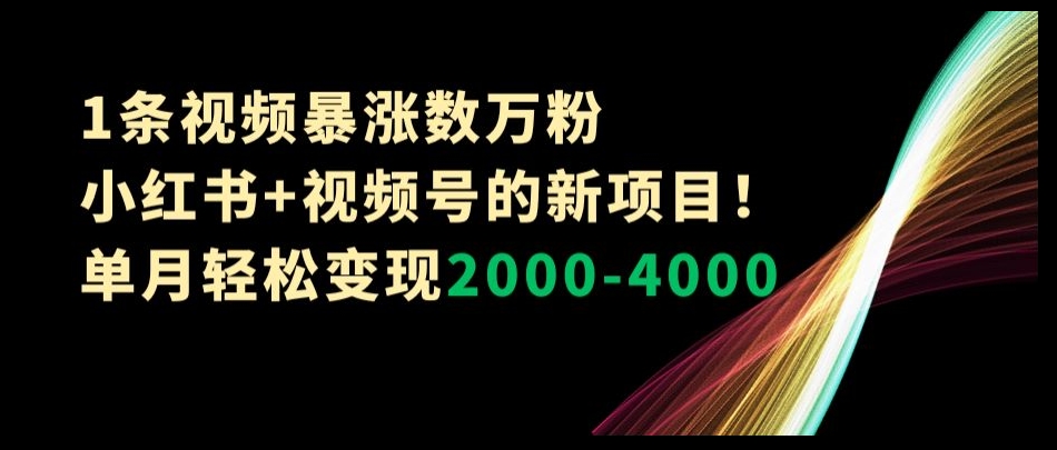 1条视频暴涨数万粉–小红书+视频号的新项目！单月轻松变现2000-4000【揭秘】网赚项目-副业赚钱-互联网创业-资源整合八方网创