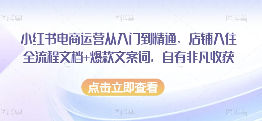 小红书电商运营从入门到精通，店铺入住全流程文档+爆款文案词，自有非凡收获网赚项目-副业赚钱-互联网创业-资源整合八方网创