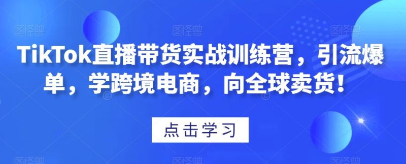 TikTok直播带货实战训练营，引流爆单，学跨境电商，向全球卖货！网赚项目-副业赚钱-互联网创业-资源整合八方网创