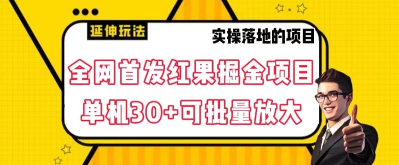 全网首发红果免费短剧掘金项目，单机30+可批量放大【揭秘】网赚项目-副业赚钱-互联网创业-资源整合八方网创