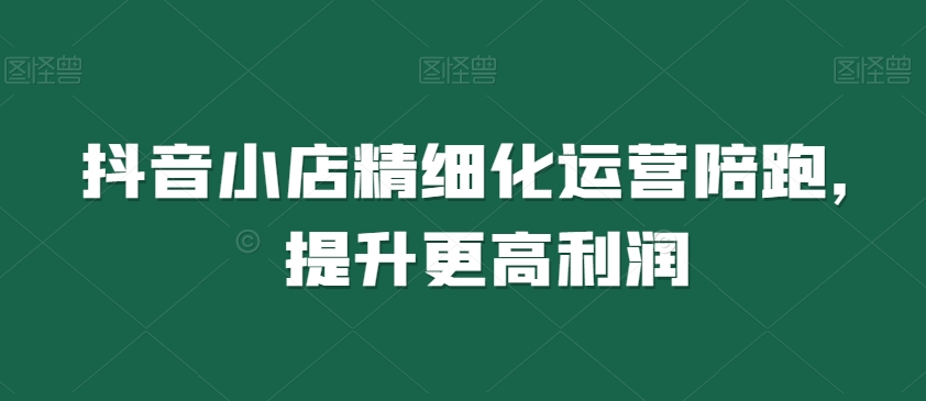 抖音小店精细化运营陪跑，提升更高利润网赚项目-副业赚钱-互联网创业-资源整合八方网创