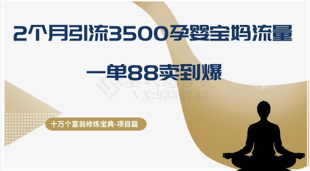 十万个富翁修炼宝典之13.2个月引流3500孕婴宝妈流量，一单88卖到爆网赚项目-副业赚钱-互联网创业-资源整合八方网创