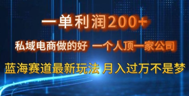 一单利润200私域电商做的好，一个人顶一家公司蓝海赛道最新玩法【揭秘】网赚项目-副业赚钱-互联网创业-资源整合八方网创