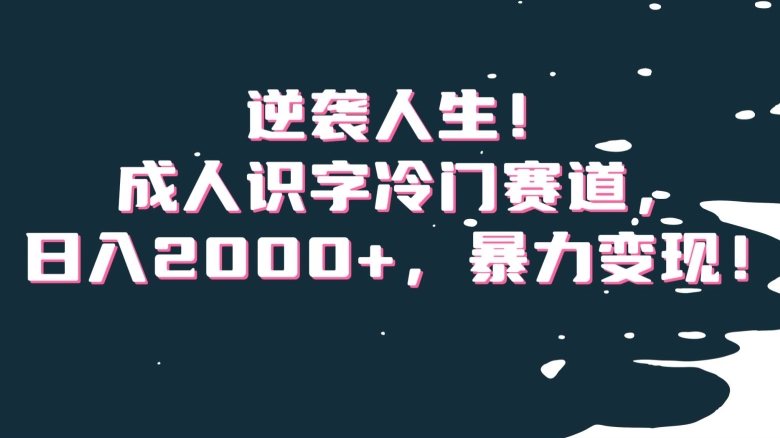 逆袭人生！成人识字冷门赛道，日入2000+，暴力变现！【揭秘】网赚项目-副业赚钱-互联网创业-资源整合八方网创