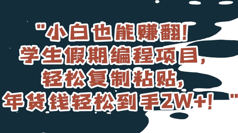 小白也能赚翻！学生假期编程项目，轻松复制粘贴，年货钱轻松到手2W+【揭秘】网赚项目-副业赚钱-互联网创业-资源整合八方网创