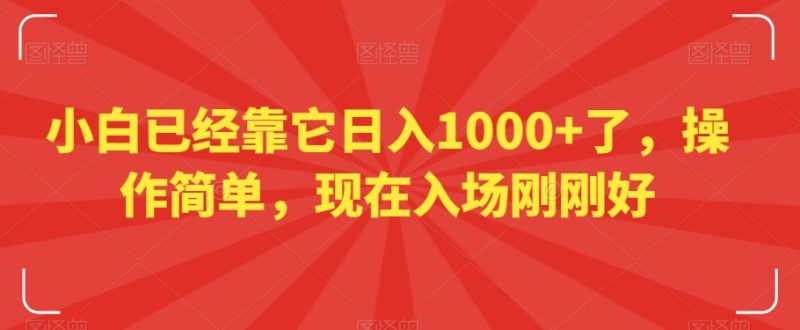 小白已经靠它日入1000+了,操作简单,现在入场刚刚好【揭秘】网赚项目-副业赚钱-互联网创业-资源整合八方网创