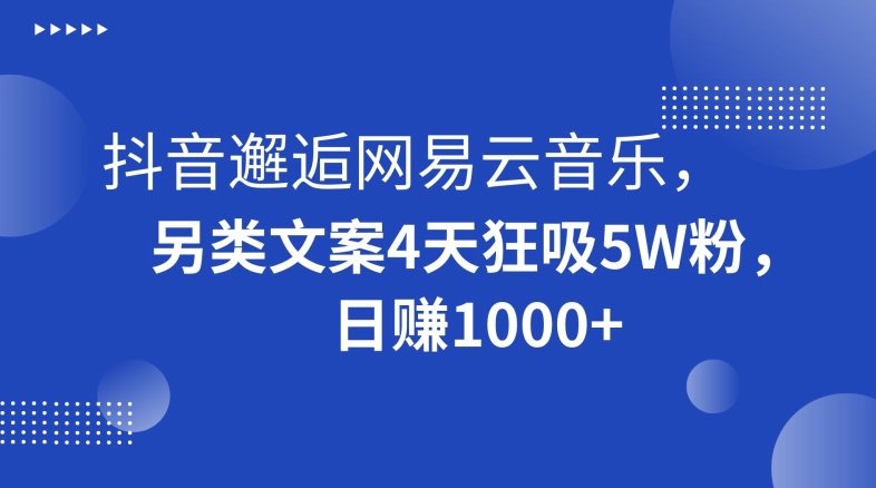 抖音邂逅网易云音乐，另类文案4天狂吸5W粉，日赚1000+【揭秘】网赚项目-副业赚钱-互联网创业-资源整合八方网创