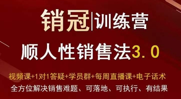 爆款！销冠训练营3.0之顺人性销售法，全方位解决销售难题、可落地、可执行、有结果网赚项目-副业赚钱-互联网创业-资源整合八方网创