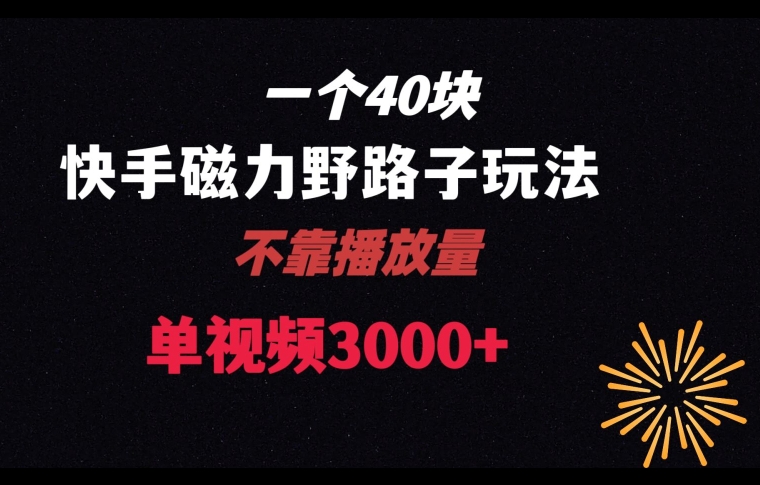 一个40块，快手联合美团磁力新玩法，无视机制野路子玩法，单视频收益4位数【揭秘】网赚项目-副业赚钱-互联网创业-资源整合八方网创