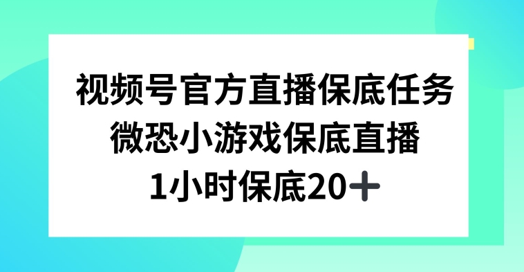 视频号直播任务，微恐小游戏，1小时20+网赚项目-副业赚钱-互联网创业-资源整合八方网创