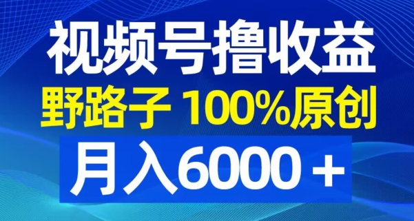 视频号野路子撸收益，100%原创，条条爆款，月入6000＋网赚项目-副业赚钱-互联网创业-资源整合八方网创
